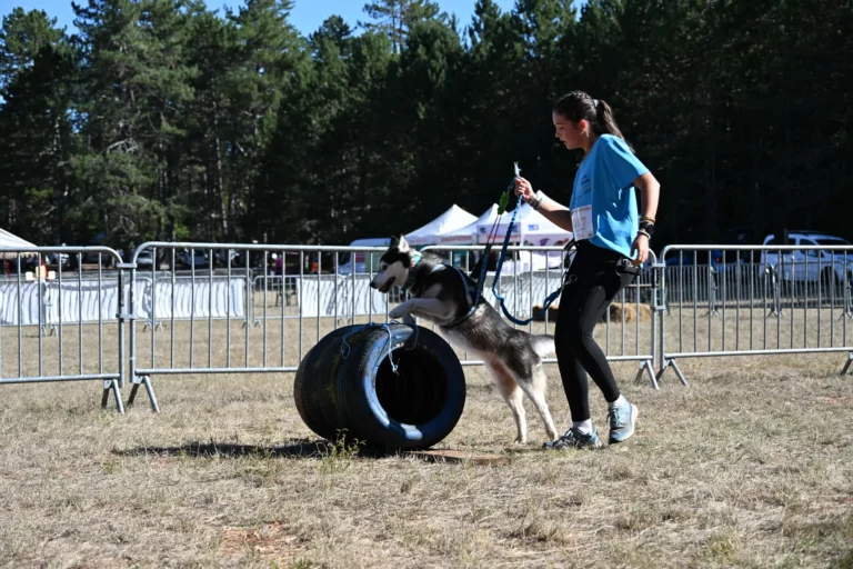 Cani-Parcours - Édition 2026 - Canifun