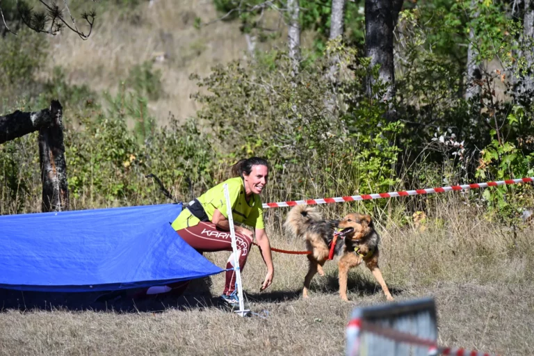 Cani-Parcours - Édition 2026 - Canifun