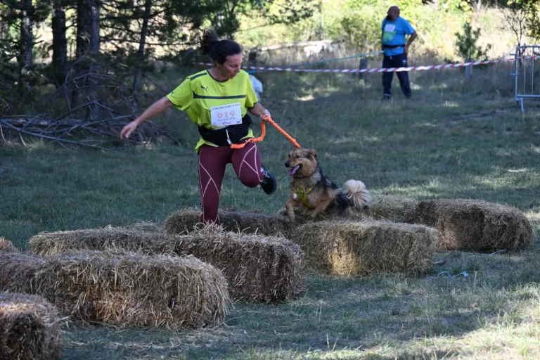 Cani-Parcours - Édition 2026 - Canifun