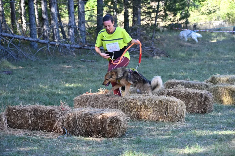 Cani-Parcours - Édition 2026 - Canifun