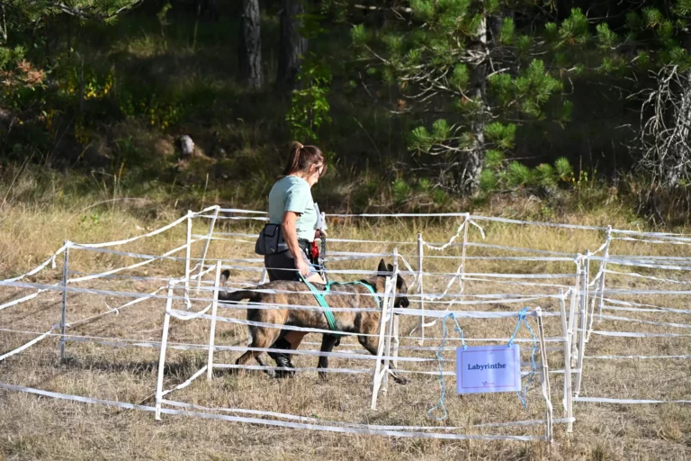 Cani-Parcours - Édition 2026 - Canifun