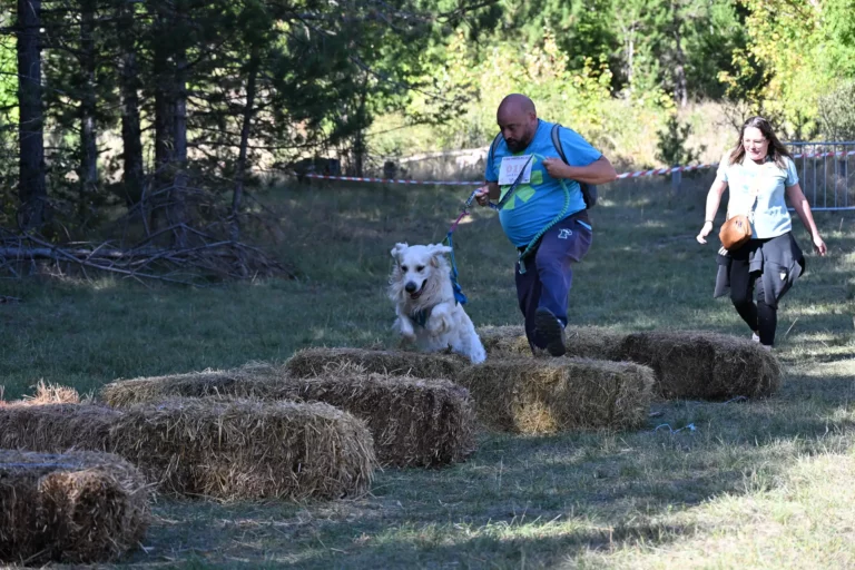 Cani-Parcours - Édition 2026 - Canifun
