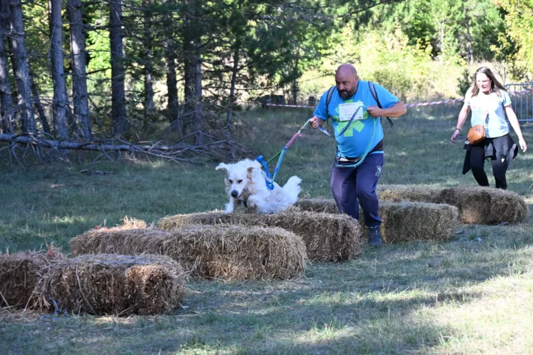 Cani-Parcours - Édition 2026 - Canifun