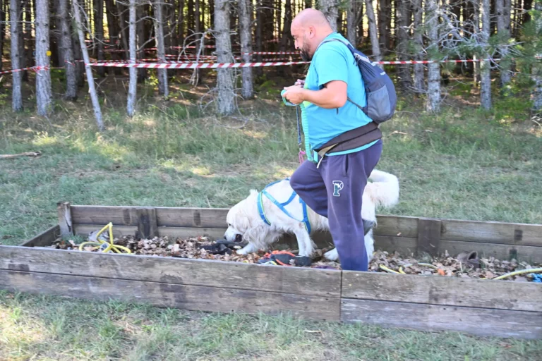 Cani-Parcours - Édition 2026 - Canifun