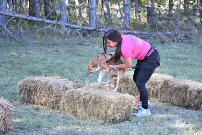 Cani-Parcours - Édition 2026 - Canifun