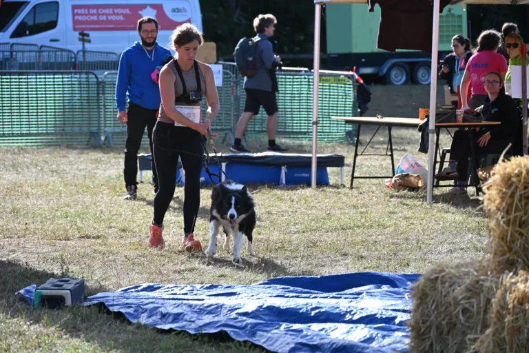 Cani-Parcours - Édition 2026 - Canifun