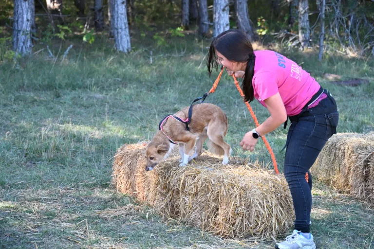 Cani-Parcours - Édition 2026 - Canifun