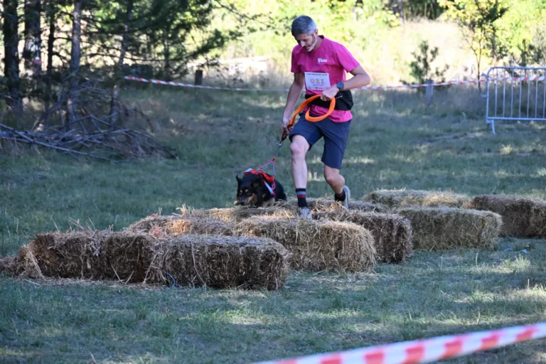 Cani-Parcours - Édition 2026 - Canifun