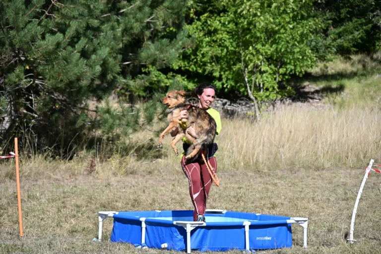 Cani-Parcours - Édition 2026 - Canifun