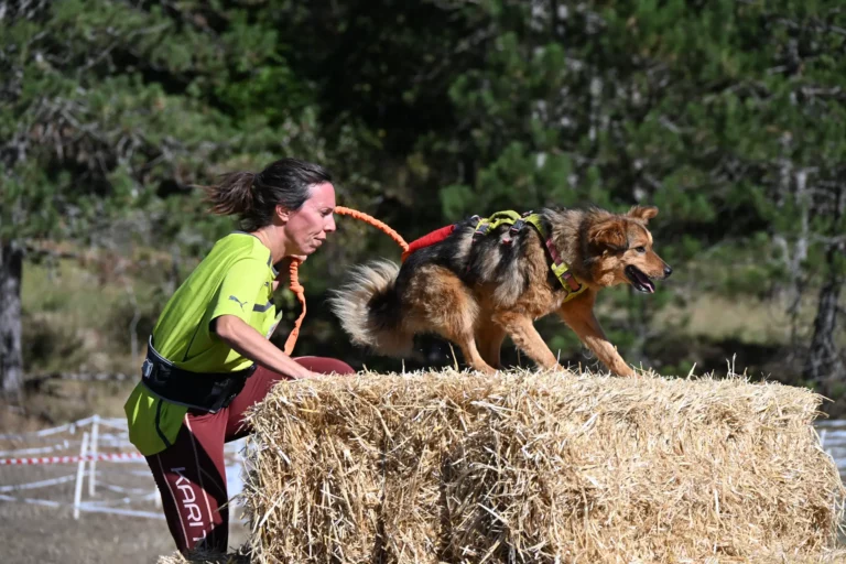 Cani-Parcours - Édition 2026 - Canifun