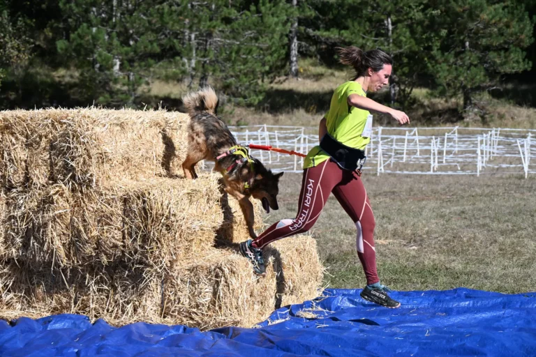 Cani-Parcours - Édition 2026 - Canifun
