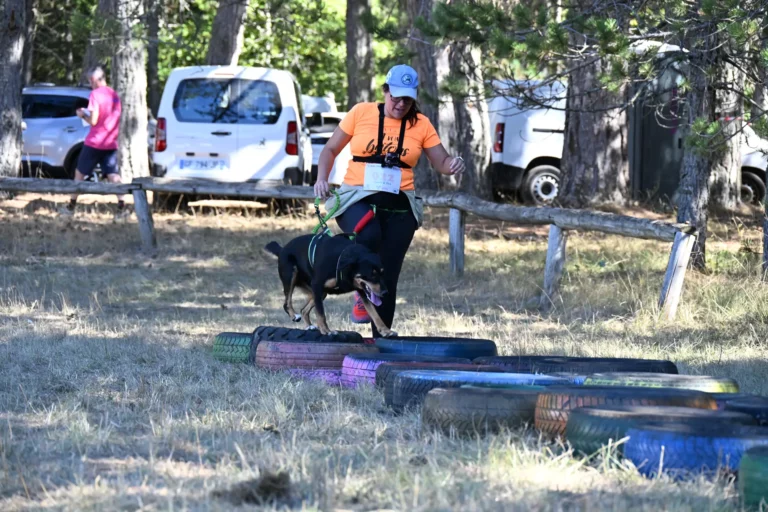 Cani-Parcours - Édition 2026 - Canifun