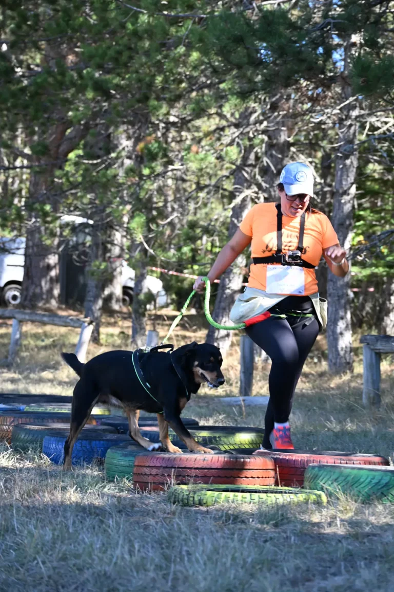 Cani-Parcours - Édition 2026 - Canifun