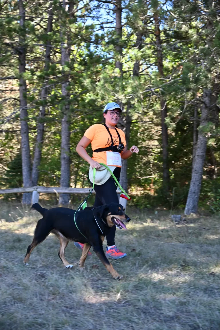 Cani-Parcours - Édition 2026 - Canifun