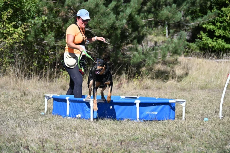 Cani-Parcours - Édition 2026 - Canifun