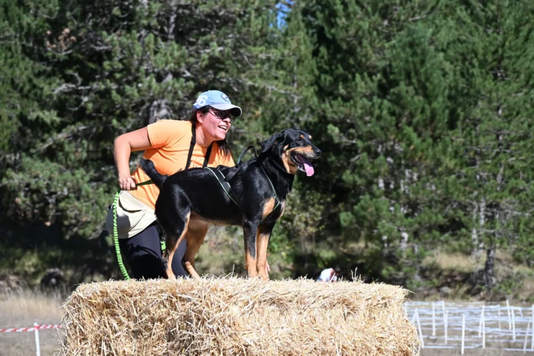 Cani-Parcours - Édition 2026 - Canifun