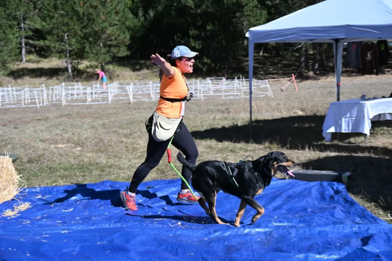Cani-Parcours - Édition 2026 - Canifun