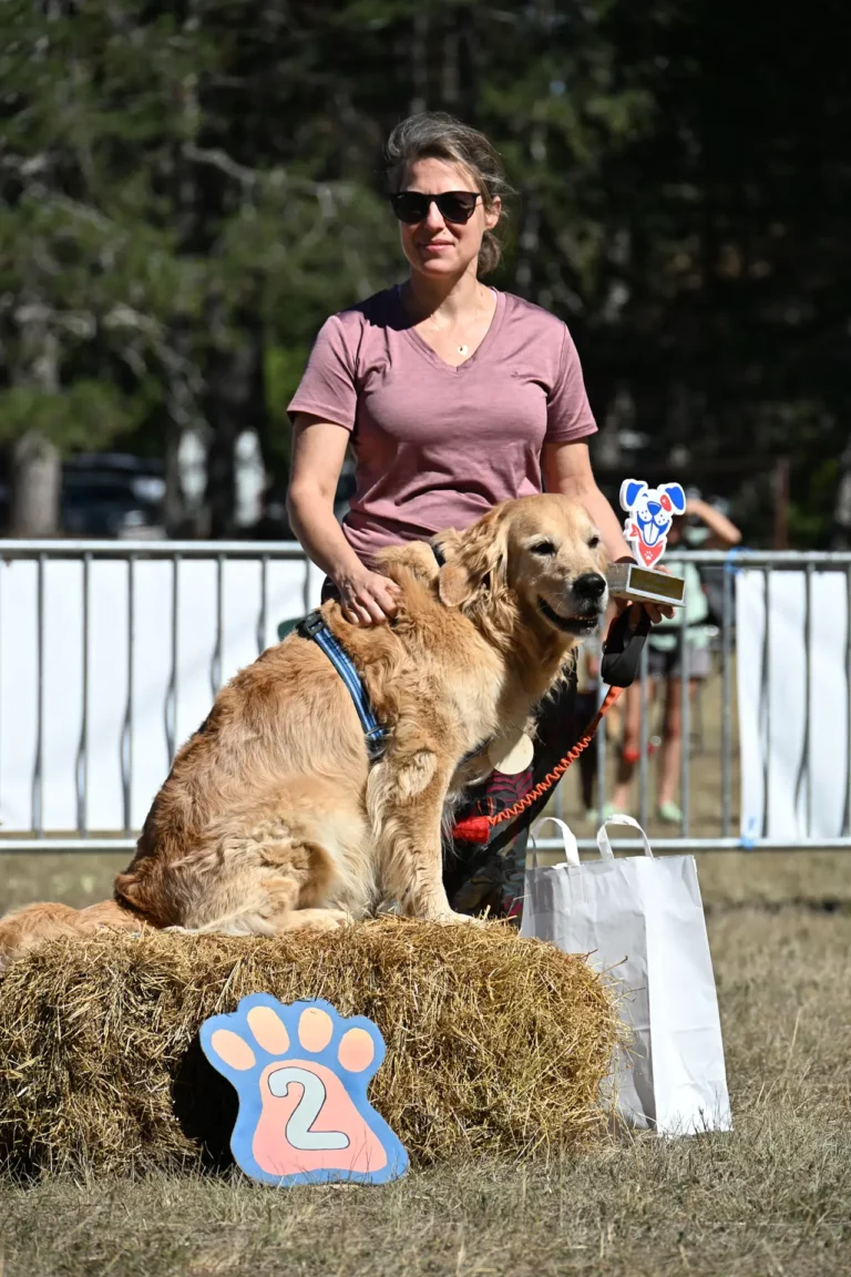 Cani-Parcours - Édition 2026 - Canifun
