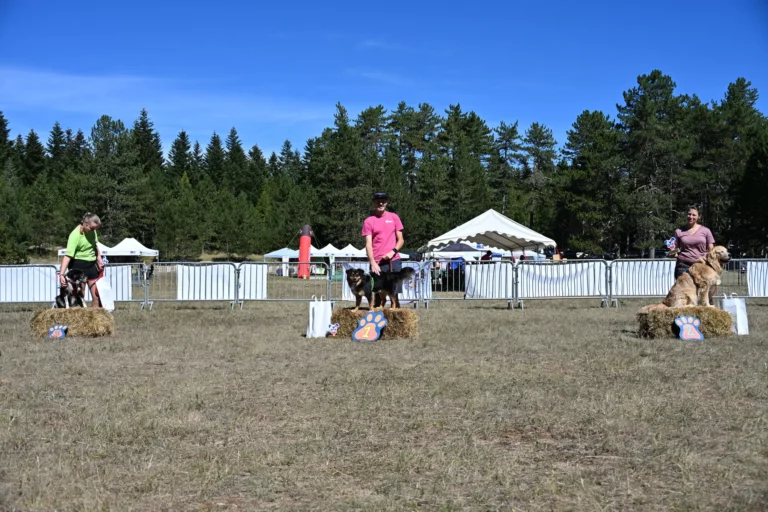 Cani-Parcours - Édition 2026 - Canifun
