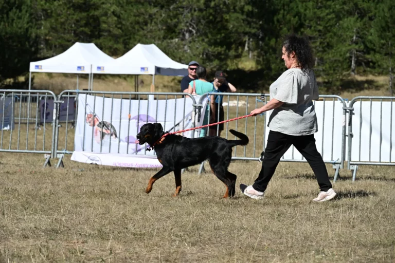 Cani-Show - Édition 2026 - Canifun