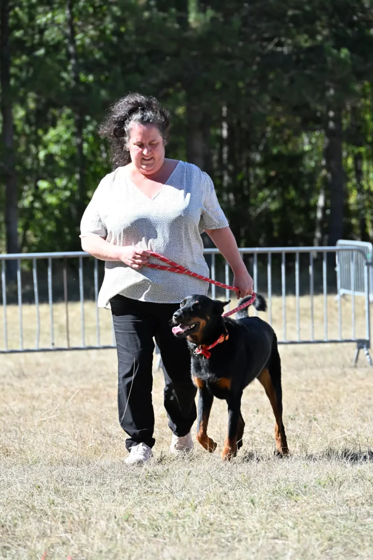 Cani-Show - Édition 2026 - Canifun