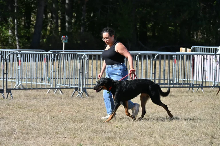 Cani-Show - Édition 2026 - Canifun