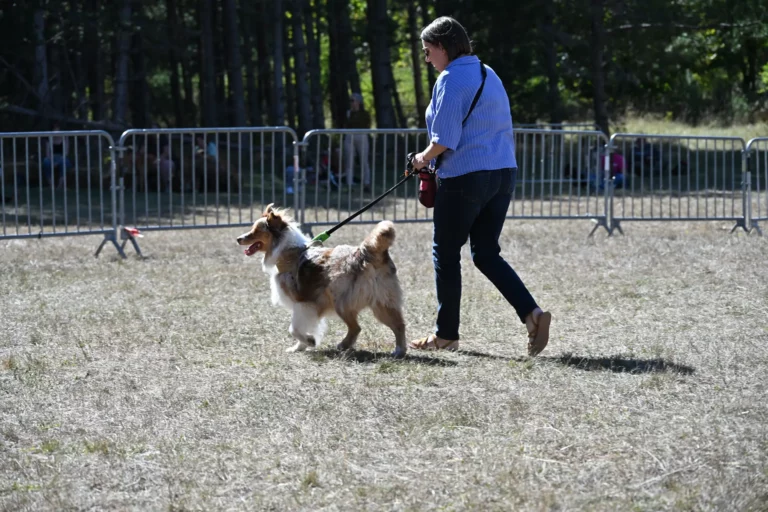 Cani-Show - Édition 2026 - Canifun