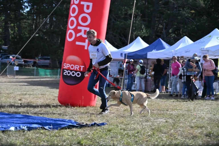 Cani-Parcours - Édition 2026 - Canifun