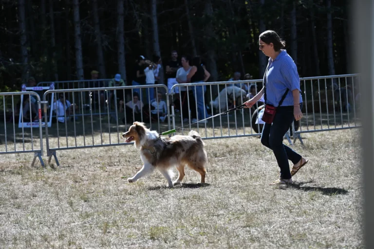 Cani-Show - Édition 2026 - Canifun