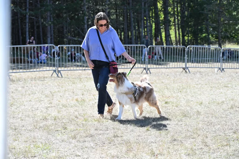 Cani-Show - Édition 2026 - Canifun