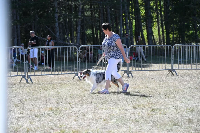 Cani-Show - Édition 2026 - Canifun