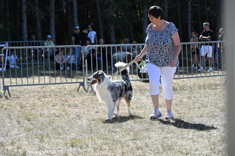 Cani-Show - Édition 2026 - Canifun