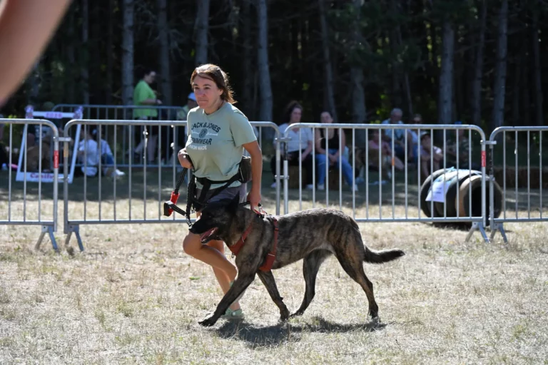 Cani-Show - Édition 2026 - Canifun