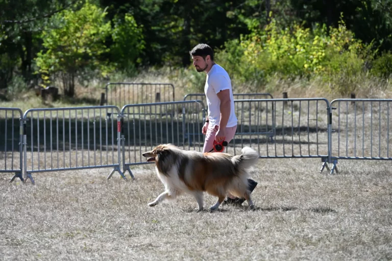 Cani-Show - Édition 2026 - Canifun
