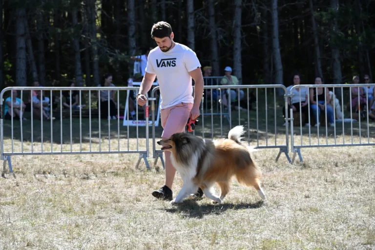 Cani-Show - Édition 2026 - Canifun