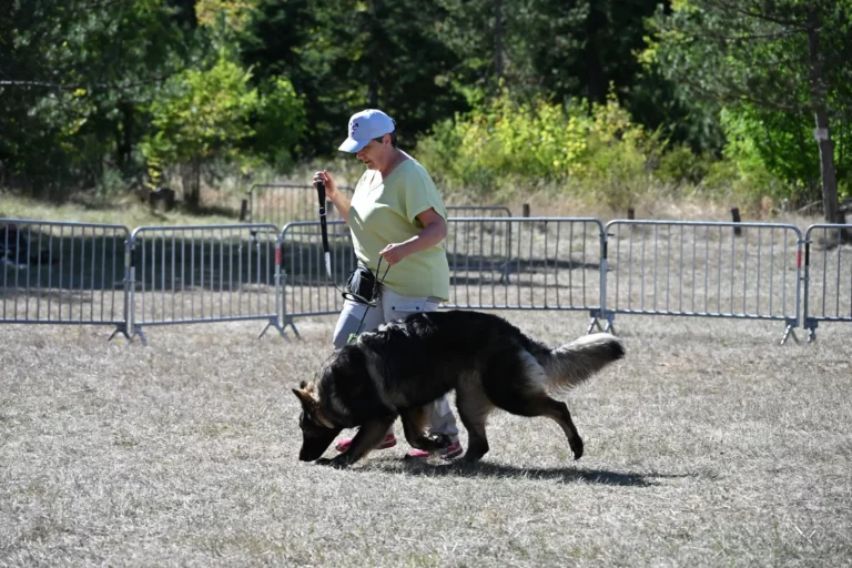 Cani-Show - Édition 2026 - Canifun