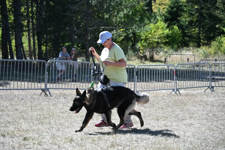 Cani-Show - Édition 2026 - Canifun