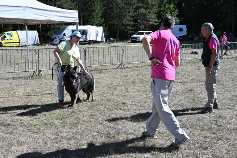 Cani-Show - Édition 2026 - Canifun