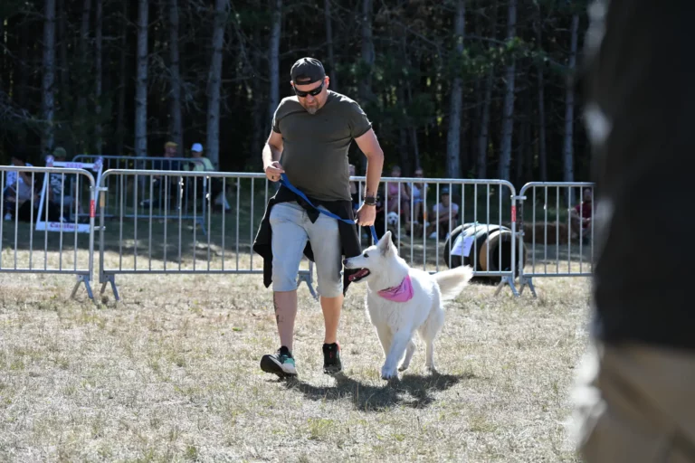 Cani-Show - Édition 2026 - Canifun