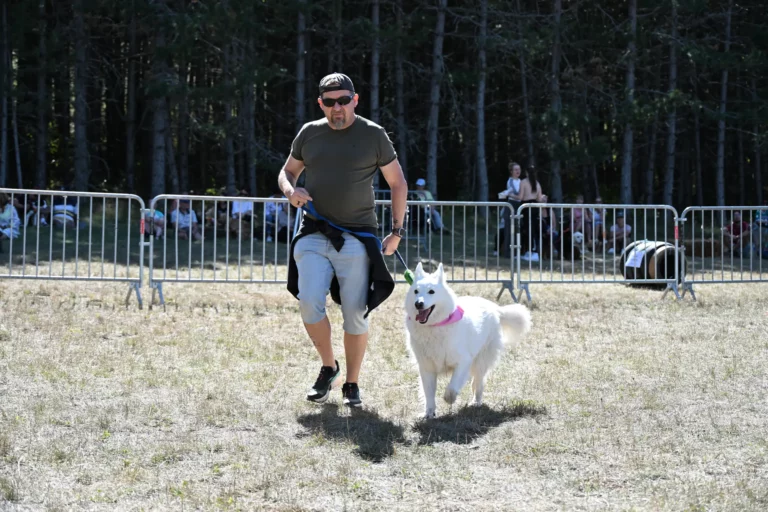 Cani-Show - Édition 2026 - Canifun