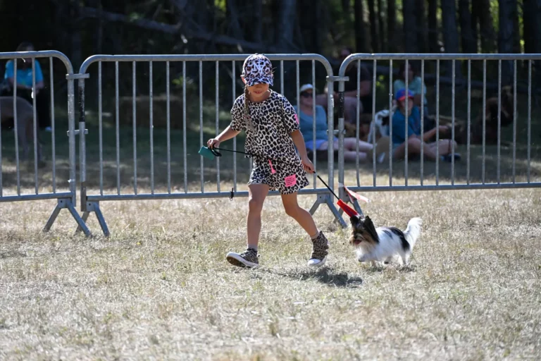 Cani-Show - Édition 2026 - Canifun