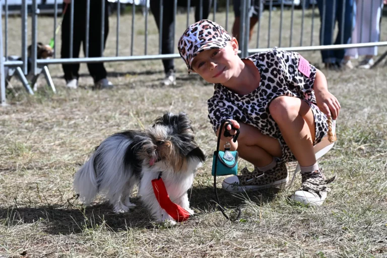 Cani-Show - Édition 2026 - Canifun