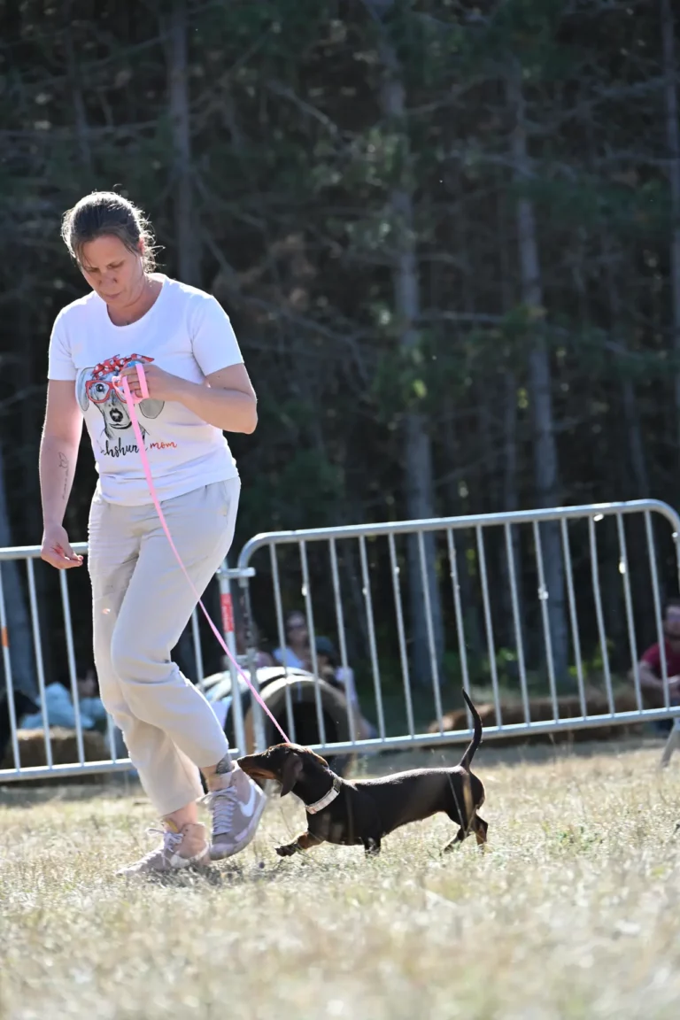 Cani-Show - Édition 2026 - Canifun