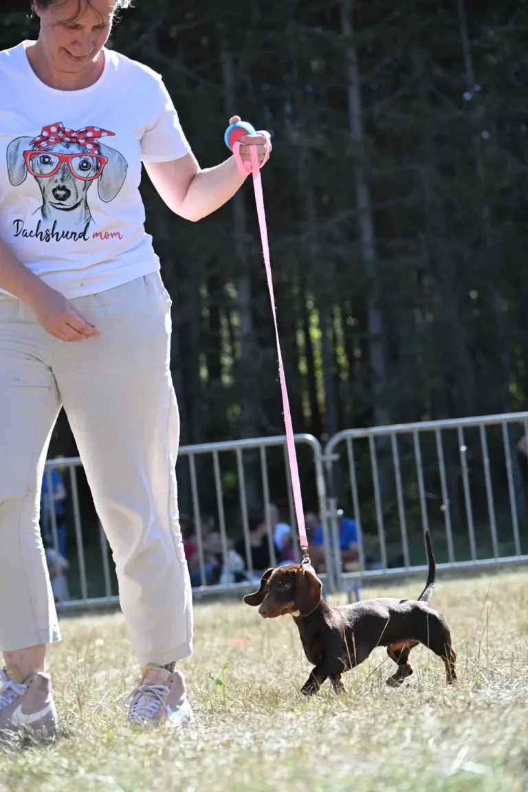 Cani-Show - Édition 2026 - Canifun