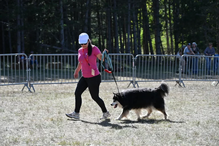 Cani-Show - Édition 2026 - Canifun