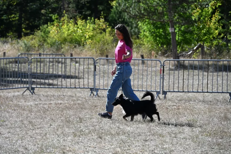 Cani-Show - Édition 2026 - Canifun