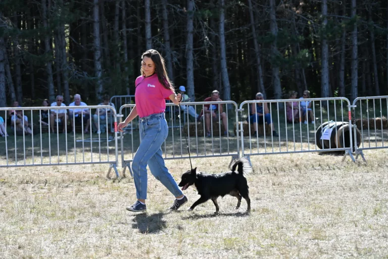 Cani-Show - Édition 2026 - Canifun
