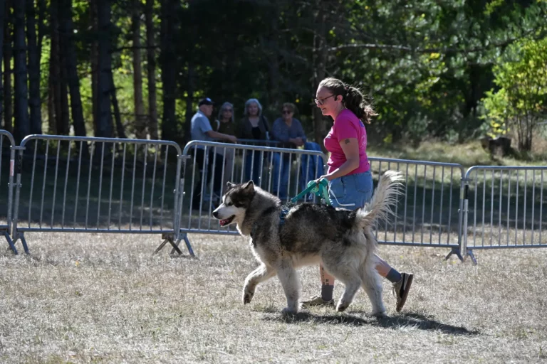 Cani-Show - Édition 2026 - Canifun