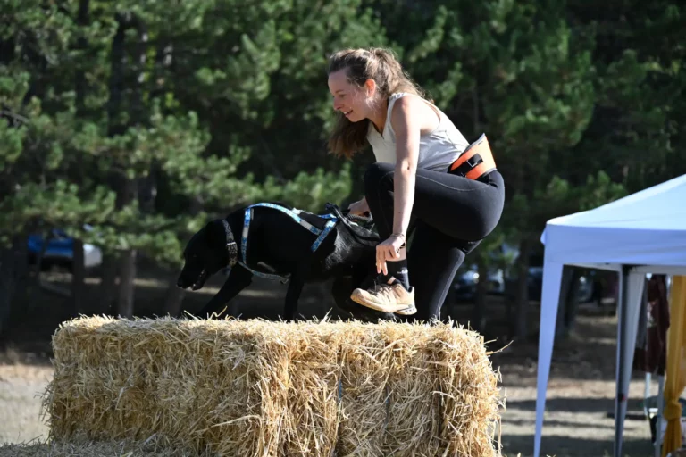 Cani-Parcours - Édition 2026 - Canifun