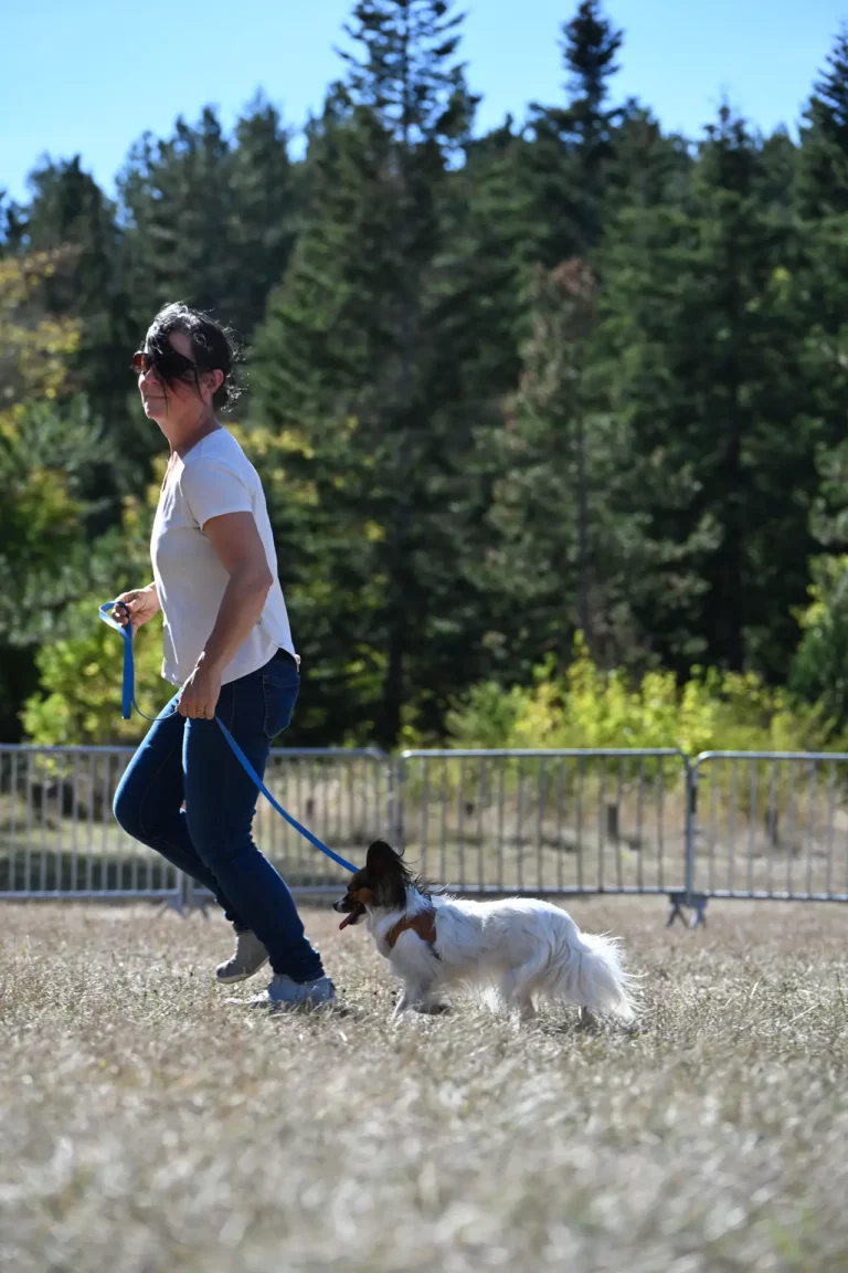 Cani-Show - Édition 2026 - Canifun